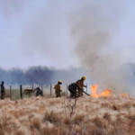 EL INCENDIO EN CERCANÍAS DE EL MORRO FUE CAUSADO POR TRES HOMBRES